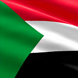 United Arab Emirates We sell Second hand jumbo bags, clean bags can be reused without any issue Exporter, Services